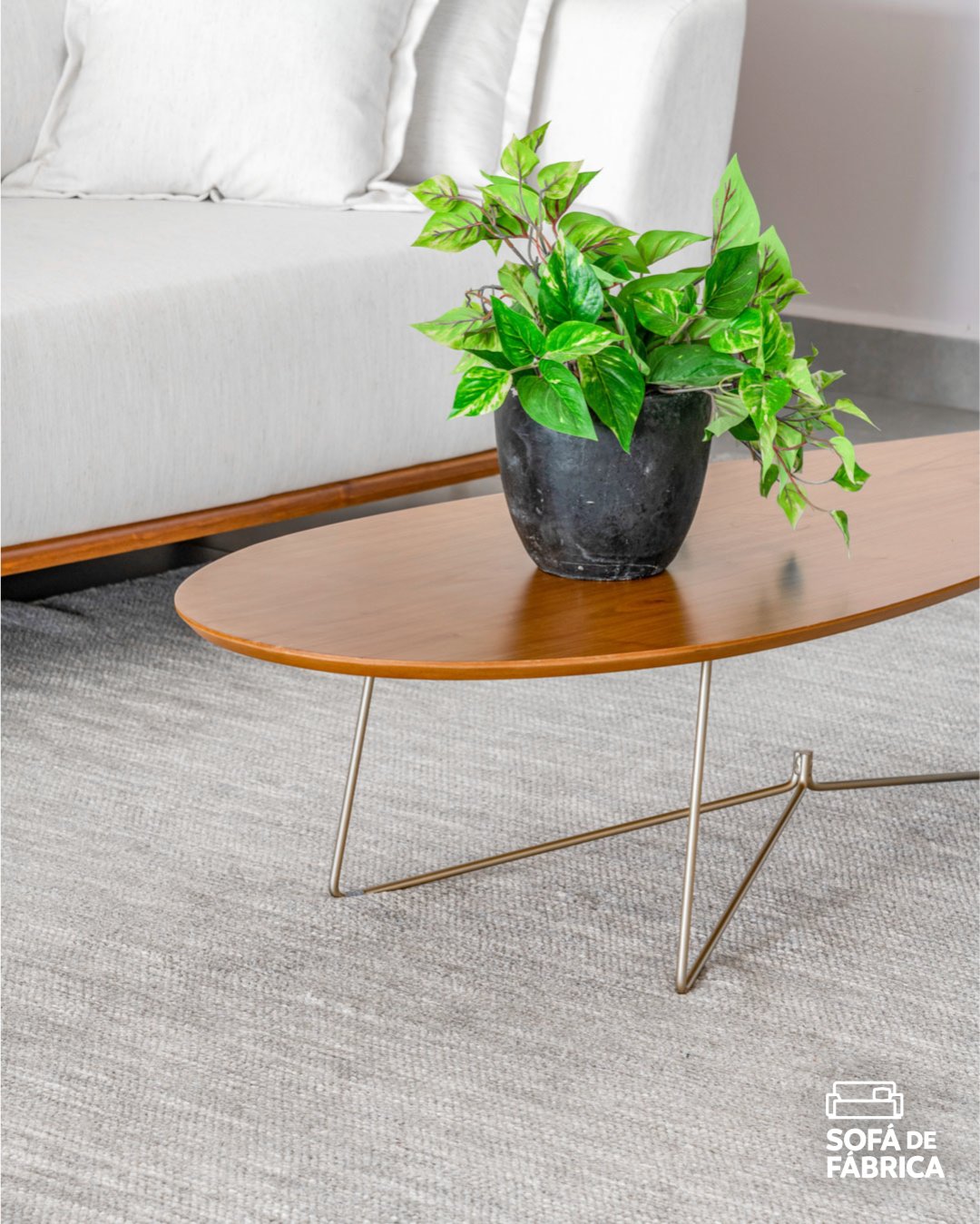 Folha Orquídea - Imagem 6